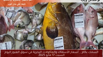 السمك بكام .. أسعار الأسماك والمأكولات البحرية في سوق العبور اليوم السبت 17 مايو 2025