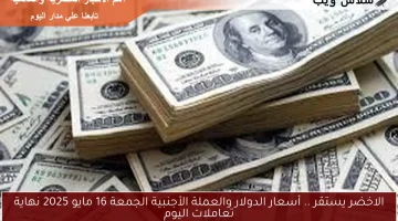 الاخضر يستقر .. أسعار الدولار والعملة الأجنبية الجمعة 16 مايو 2025 نهاية تعاملات اليوم