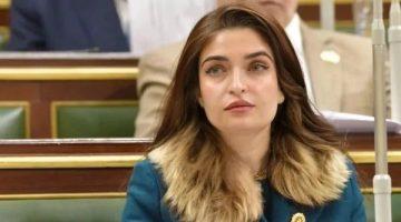 إيرين سعيد: اللفظ المذكور في المادة المستحدثة بقانون مزاولة مهنة الصيادلة يصطدم بنظيره في «تنظيم الجامعات»