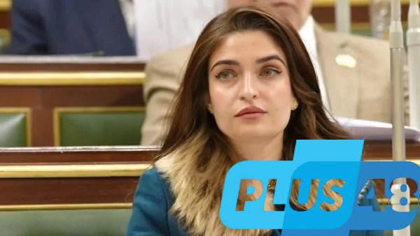 إيرين سعيد: اللفظ المذكور في المادة المستحدثة بقانون مزاولة مهنة الصيادلة يصطدم بنظيره في «تنظيم الجامعات»