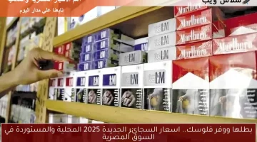 بطلها ووفر فلوسك.. اسعار السجائر الجديدة 2025 المحلية والمستوردة في السوق المصرية