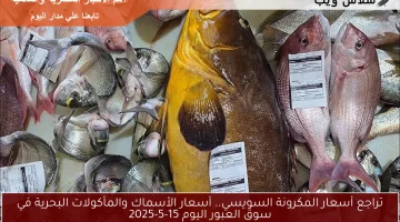تراجع أسعار المكرونة السويسي.. أسعار الأسماك والمأكولات البحرية في سوق العبور اليوم 15-5-2025