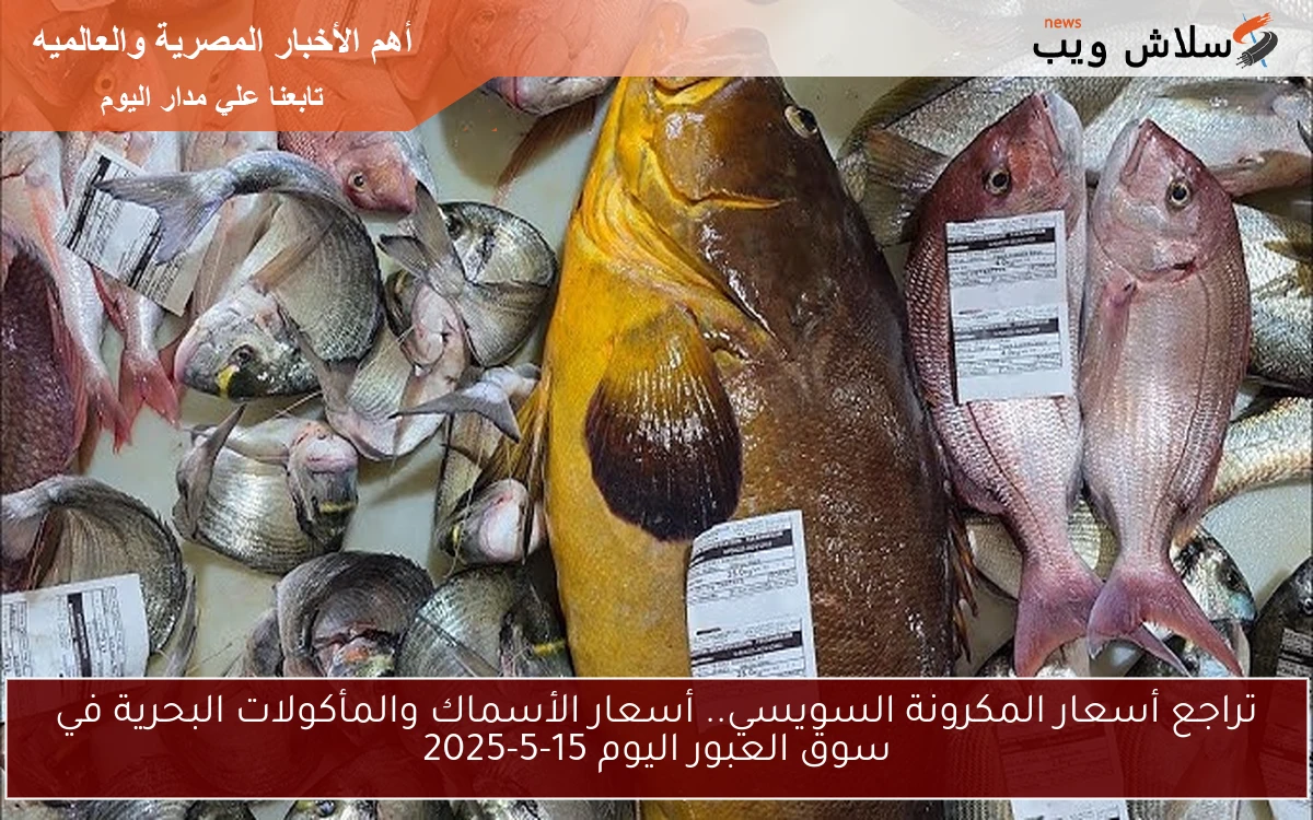تراجع أسعار المكرونة السويسي.. أسعار الأسماك والمأكولات البحرية في سوق العبور اليوم 15-5-2025