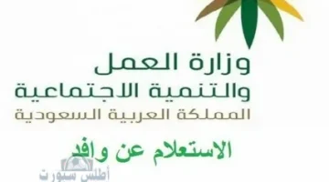 خطوات الاستعلام عن موظف وافد 1446