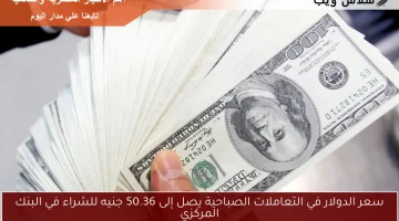 سعر الدولار في التعاملات الصباحية يصل إلى 50.36 جنيه للشراء في البنك المركزي