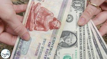 سعر الدولار اليوم 17-5-2025 أمام الجنيه المصري.. استقرار وسط توقعات بالهبوط