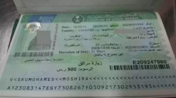 دليل خطوة بخطوة للاستعلام عن الزيارة العائلية برقم الطلب 1446 والشروط المطلوبة