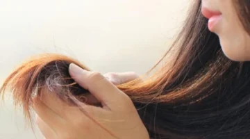 أفضل زيت لـ الشعر التالف.. حقائق مفاجئة عن جوز الهند