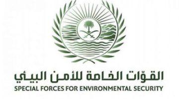 #عاجل |  ضبط مقيمًا من الجنسية الهندية لقيامه بتفريغ مواد خرسانية في #المنطقة_الشرقية