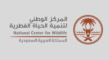 #المملكة تستضيف ورشة عمل إقليمية لتعزيز جهود حماية الأنواع المهاجرة