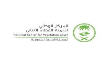 #الغطاء_النباتى يستعرض جهود المملكة في تحقيق الاستدامة خلال قمة #إرثنا_2025
