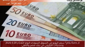 الــ Euro بكام؟ سعر اليورو في السوق السوداء اليوم الثلاثاء 20-5-2025 وتحديثات الأوروبي في بنك مصر والأهلي