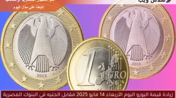 زيادة قيمة اليورو اليوم الأربعاء 14 مايو 2025 مقابل الجنيه في البنوك المصرية