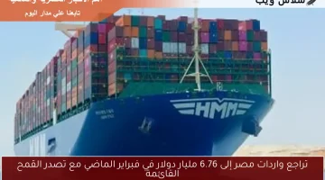 تراجع واردات مصر إلى 6.76 مليار دولار في فبراير الماضي مع تصدر القمح القائمة