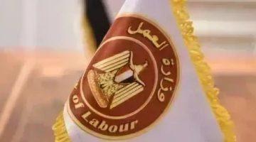 فرص عمل جديدة في الأردن بقطاع تصريح العمل الحر.. رابط وخطوات التقديم
