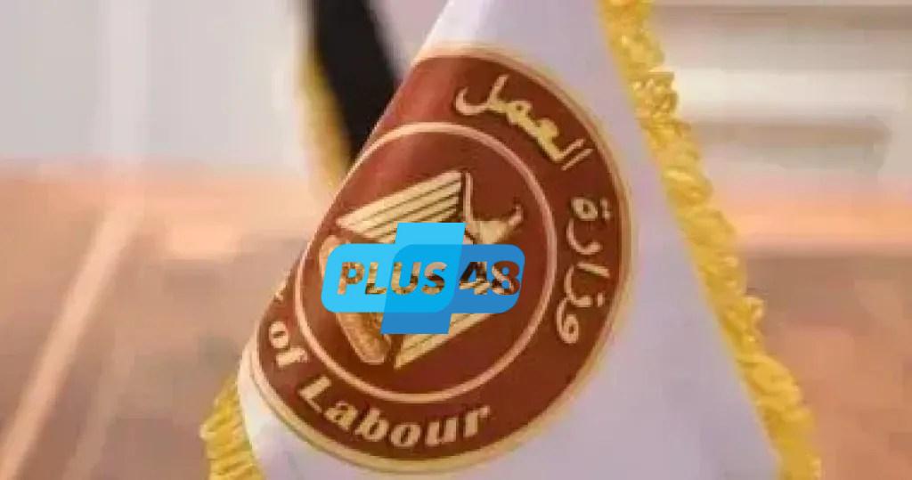 فرص عمل جديدة في الأردن بقطاع تصريح العمل الحر.. رابط وخطوات التقديم