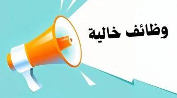 وظائف حكومية للصيادلة حتى نهاية مايو.. المرتبات تصل لـ 9400 جنيه شهريًا