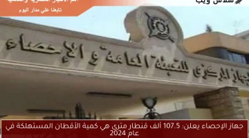 جهاز الإحصاء يعلن: 107.5 ألف قنطار مترى هي كمية الأقطان المستهلكة في عام 2024