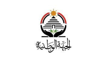 عمر وهبة أمينًا للشباب بالغربية في حزب الجبهة الوطنية