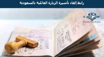“السلطات السعودية تعلن”.. رابط إلغاء تأشيرة الزيارة العائلية بالسعودية عبر أبشر وأهم الشروط اللازمة