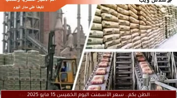 الطن بكم.. سعر الأسمنت اليوم الخميس 15 مايو 2025