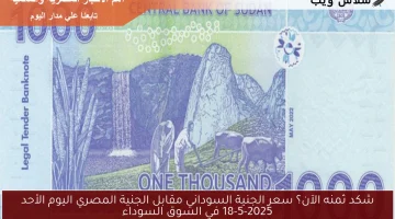 شكد ثمنه الآن؟ سعر الجنية السوداني مقابل الجنية المصري اليوم الأحد 18-5-2025 في السوق السوداء