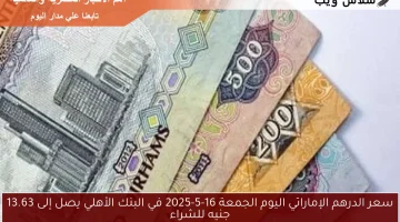 سعر الدرهم الإماراتي اليوم الجمعة 16-5-2025 في البنك الأهلي يصل إلى 13.63 جنيه للشراء