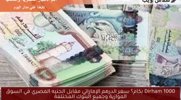 1000 Dirham بكام؟ سعر الدرهم الإماراتي مقابل الجنيه المصري في السوق الموازية وجميع البنوك المختلفة