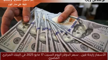 الأسعار رايحة فين.. سعر الدولار اليوم السبت 17 مايو 2025 في البنك المركزي المصري