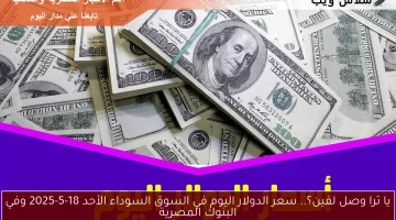 يا ترا وصل لفين؟.. سعر الدولار اليوم في السوق السوداء الأحد 18-5-2025 وفي البنوك المصرية