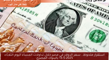 استقرار ملحوظ.. سعر الدولار في مصر خلال تداولات المساء اليوم الثلاثاء 13-5-2025 بالبنوك المصري