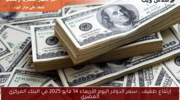 إرتفاع طفيف.. سعر الدولار اليوم الأربعاء 14 مايو 2025 في البنك المركزي المصري