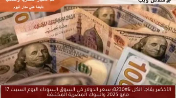 الأخضر يفاجأ الكل … سعر الدولار في السوق السوداء اليوم السبت 17 مايو 2025 والبنوك المصرية المختلفة