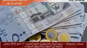 تغيرات ملحوظة .. سعر الريال السعودي اليوم السبت 17 مايو 2025 مقابل الجنيه في البنوك والسوق السوداء