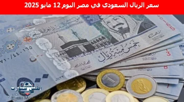 “فرصة ذهبية لحجاج 2025”.. سعر الريال السعودي في مصر اليوم 12 مايو 2025 يسجل أرقامًا صادمة في مختلف البنوك المصرية والخاصة