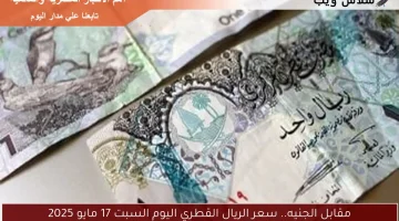 مقابل الجنيه.. سعر الريال القطري اليوم السبت 17 مايو 2025