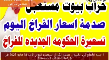 4 جنيه ارتفاع في الكيلو .. سعر الفراخ البيضاء اليوم الأحد 18 مايو 2025 في بورصة الدواجن وبالأسواق