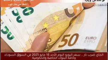 الجاي ضرب نار .. سعر اليورو اليوم الأحد 18 مايو 2025 في السوق السوداء وكافة البنوك الخاصة والحكومية
