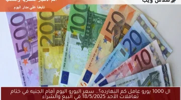 ال 1000 يورو عامل كم النهارده؟.. سعر اليورو اليوم أمام الجنيه في ختام تعاملات الأحد 18/5/2025 في البيع والشراء