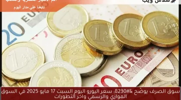 سوق الصرف يوضُح … سعر اليورو اليوم السبت 17 مايو 2025 في السوق الموازي والرسمي واخر التطورات