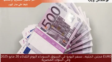 EURO مجنن الجنيه.. سعر اليورو في السوق السوداء اليوم الثلاثاء 20 مايو 2025 وفي البنوك المصرية
