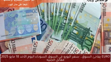 EURO يفاجئ السوق.. سعر اليورو في السوق السوداء اليوم الأحد 18 مايو 2025 مقابل الجنيه