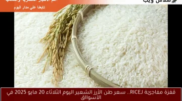 قفزة مفاجئة لـRICE.. سعر طن الأرز الشعير اليوم الثلاثاء 20 مايو 2025 في الأسوااق