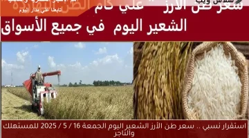 استقرار نسبي .. سعر طن الأرز الشعير اليوم الجمعة 16 / 5 / 2025 للمستهلك والتاجر