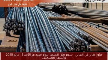 عزوز طاير في العالي.. سعر طن الحديد اليوم حديد عز الأحد 18 مايو 2025 وأسعار الاسمنت