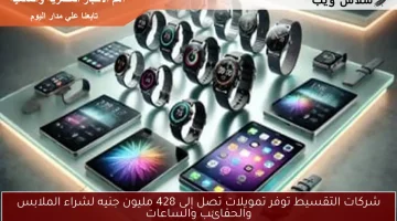 شركات التقسيط توفر تمويلات تصل إلى 428 مليون جنيه لشراء الملابس والحقائب والساعات