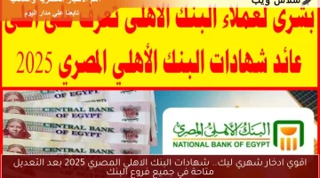 اقوي ادخار شهري ليك.. شهادات البنك الاهلي المصري 2025 بعد التعديل متاحة في جميع فروع البنك