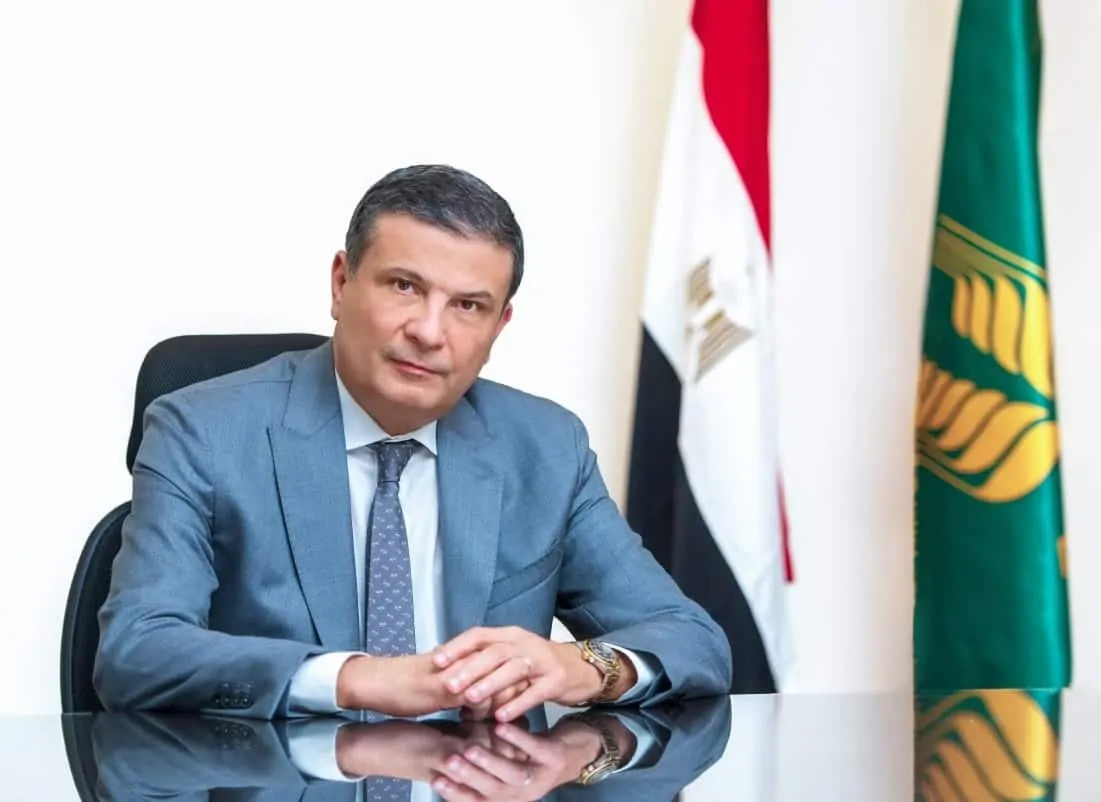 وزير الزراعة: ارتفاع إنتاجية القمح المصري بنسبة 10% هذا الموسم
