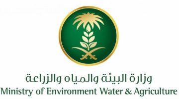 #بيئة_الطائف تكثّف جولاتها الرقابية على أسواق النفع العام استعدادًا لموسم الحج