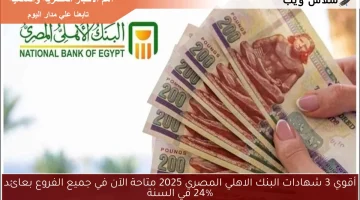 أقوي 3 شهادات البنك الاهلي المصري 2025 متاحة الآن في جميع الفروع بعائد 24%